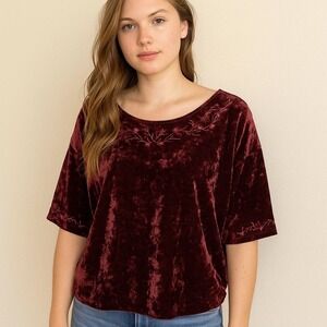 VTG‎ J Jill Top Blouse Womens M Purple Crushed Velvet Embroidered Boho Whimsy